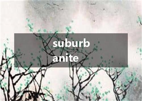 suburbanite是什么意思