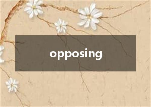 opposing是什么意思