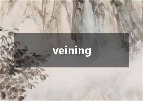 veining是什么意思