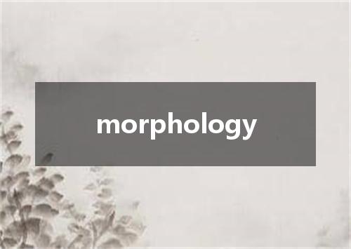 morphology是什么意思