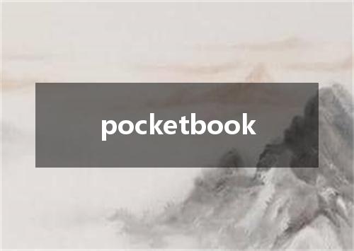 pocketbook是什么意思