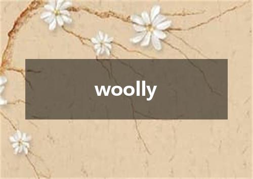 woolly是什么意思