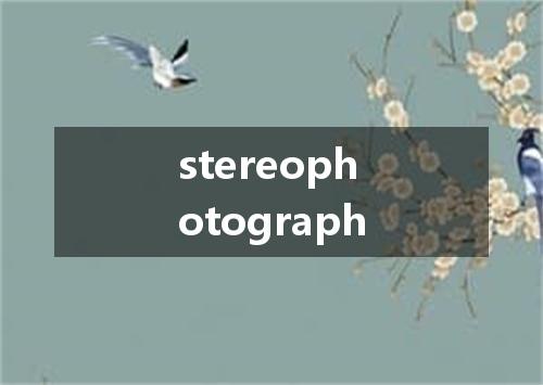 stereophotograph是什么意思