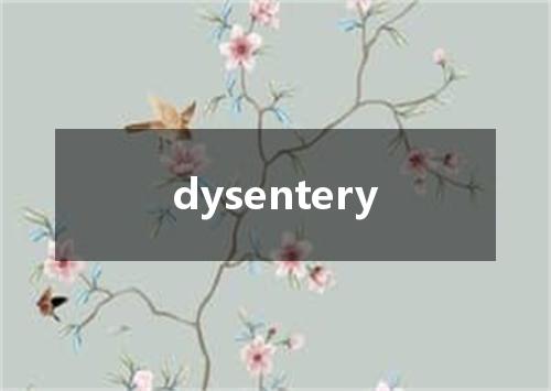 dysentery是什么意思