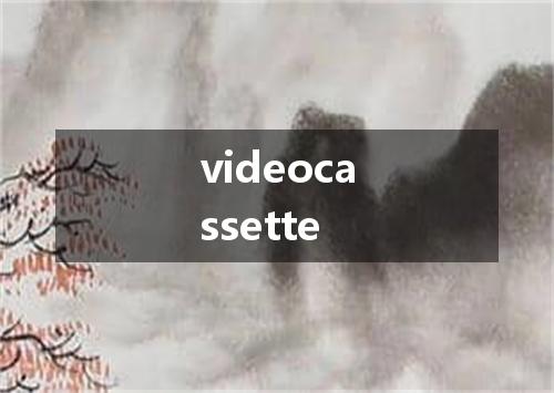 videocassette是什么意思