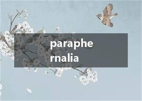 paraphernalia是什么意思