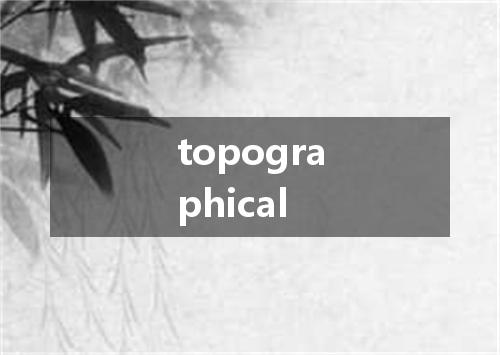 topographical是什么意思