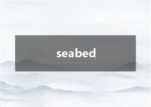 seabed是什么意思
