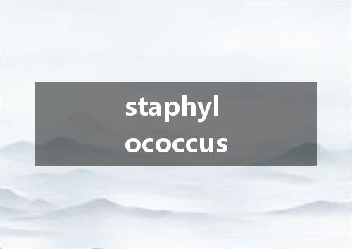 staphylococcus是什么意思