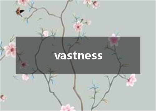 vastness是什么意思