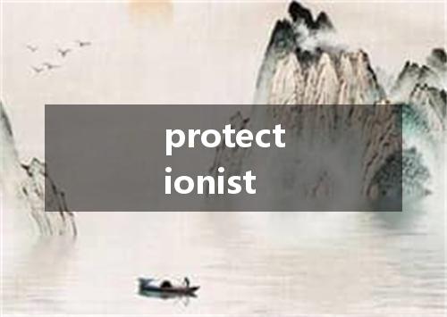 protectionist是什么意思