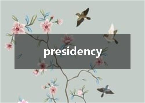 presidency是什么意思