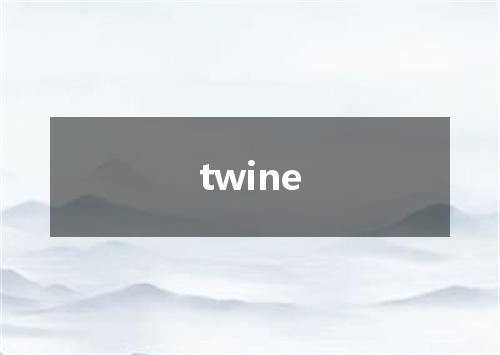 twine是什么意思