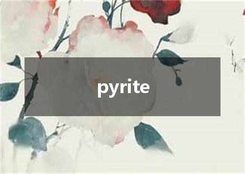 pyrite是什么意思