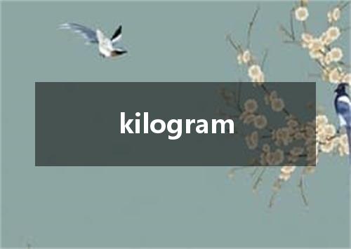 kilogram是什么意思
