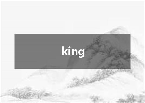 king是什么意思