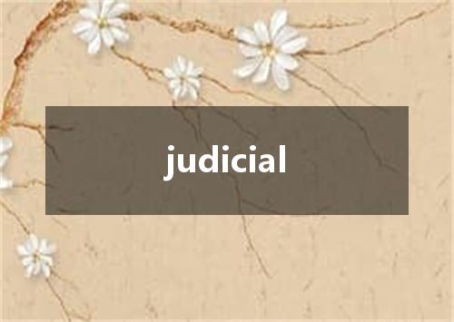 judicial是什么意思