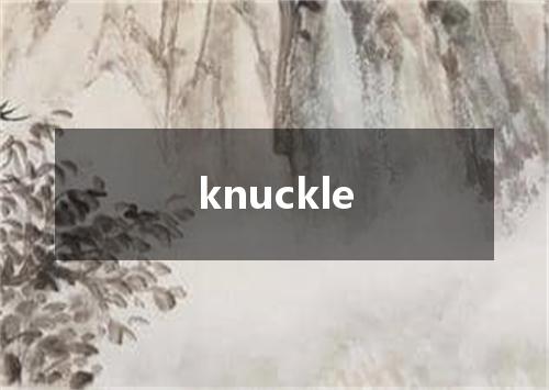 knuckle是什么意思
