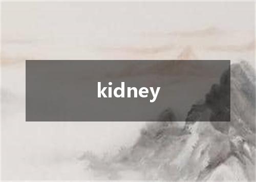 kidney是什么意思