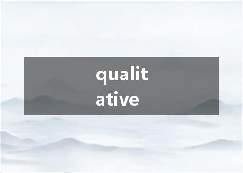 qualitative是什么意思
