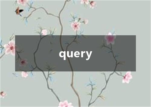 query是什么意思
