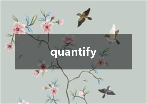 quantify是什么意思