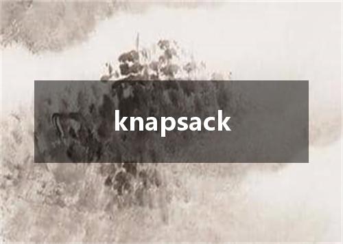 knapsack是什么意思