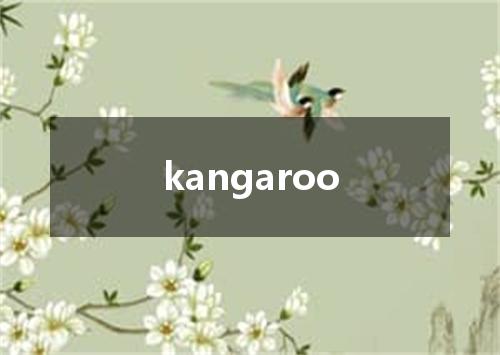 kangaroo是什么意思