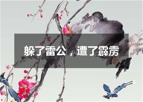 躲了雷公，遭了霹雳