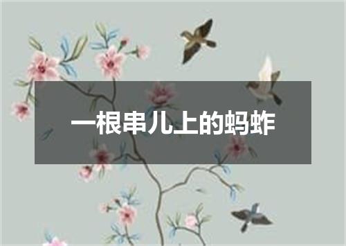 一根串儿上的蚂蚱