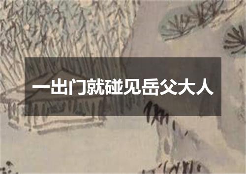 一出门就碰见岳父大人