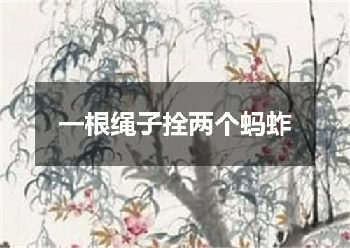 一根绳子拴两个蚂蚱