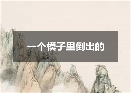 一个模子里倒出的