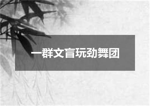 一群文盲玩劲舞团
