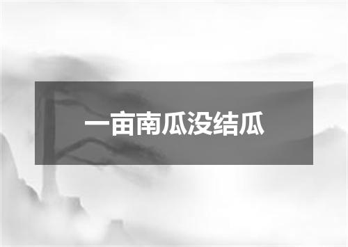一亩南瓜没结瓜
