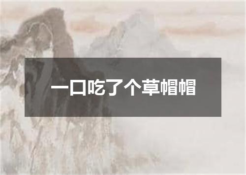 一口吃了个草帽帽