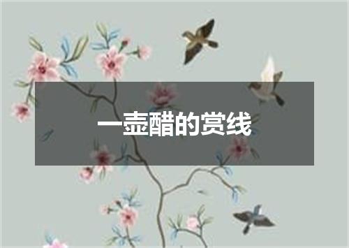 一壶醋的赏线