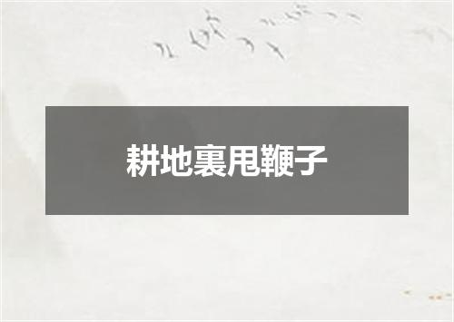 耕地裏甩鞭子