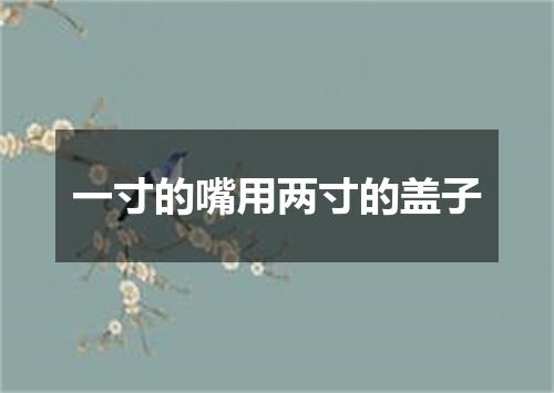 一寸的嘴用两寸的盖子
