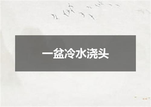 一盆冷水浇头