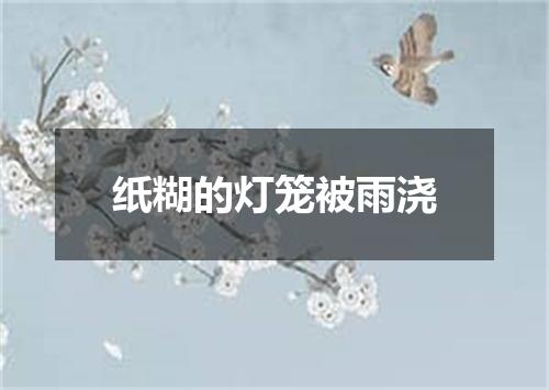 纸糊的灯笼被雨浇