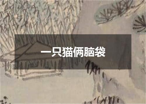 一只猫俩脑袋