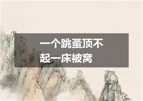 一个跳蚤顶不起一床被窝