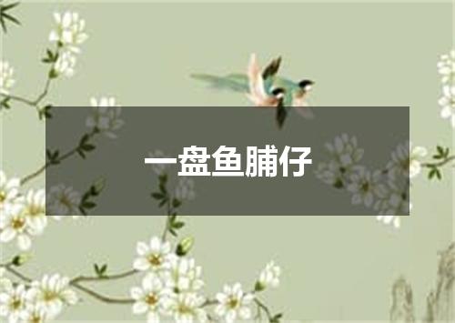 一盘鱼脯仔