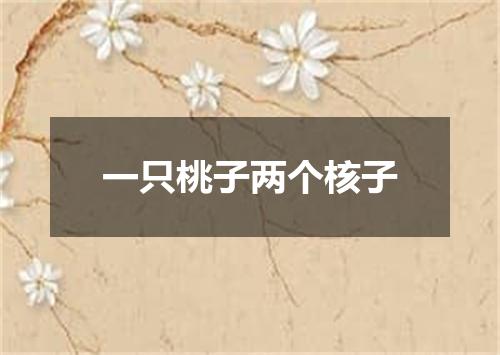 一只桃子两个核子