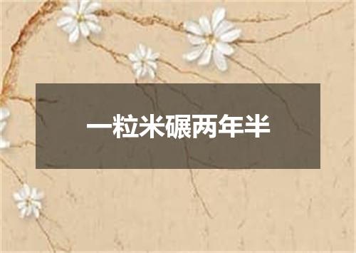 一粒米碾两年半