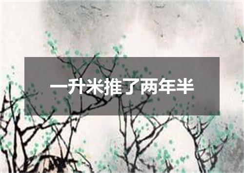 一升米推了两年半