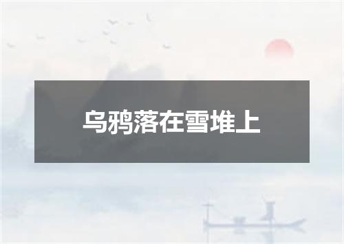 乌鸦落在雪堆上