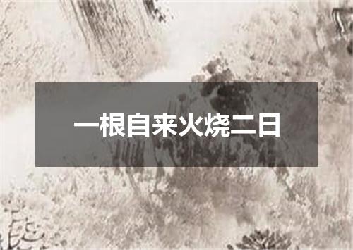 一根自来火烧二日
