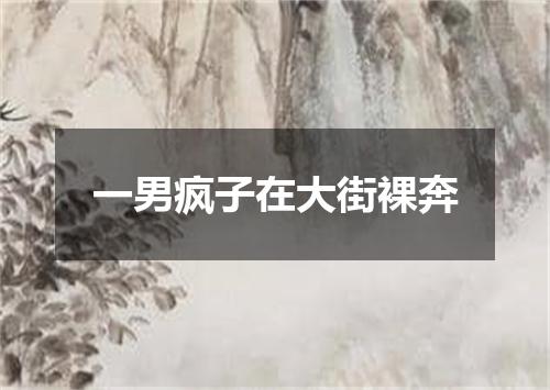 一男疯子在大街裸奔